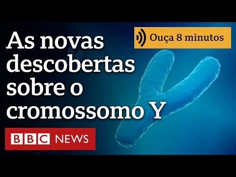 O que 1º sequenciamento completo do 'estranho' cromossomo Y revela sobre genética dos homens