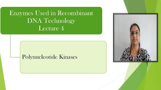 Polynucleotide Kinase