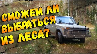 Старая "Нива" против бездорожья. В лес на "Ниве".