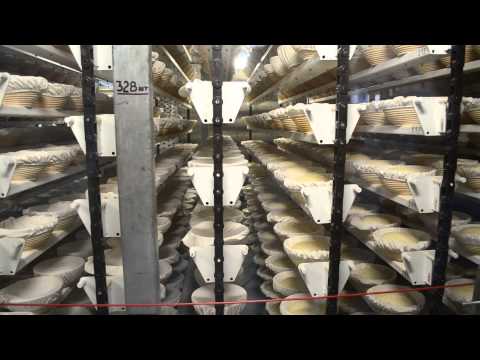 Video: Cum Să începeți O Afacere De Coacere A Pâinii
