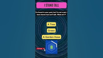 🧠 Ultimate Brain Teaser Riddle Challenge! Crack the Code and Win