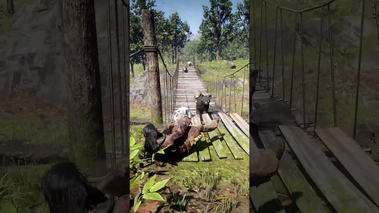 Survival Challenge DIY...(026) 