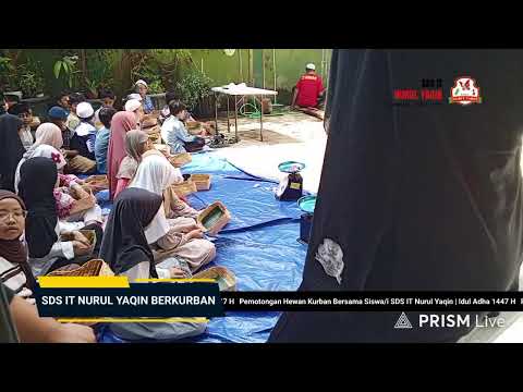 Live Pemotongan Hewan Kurban
