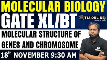GATE XL/BT | MOLECULAR STRUCTURE OF GENES AND CHROMOSOME | Molecular Biology | SAGAR ROY CHOUDHURY |