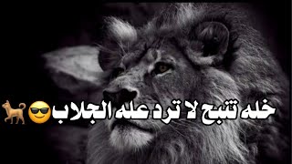 خله تنبح لا ترد عله الجلاب 😎🐕 2020مقاطع شعر عراقيه حزينه 2020اجمل شعر قصير حزين جدآ2020 اشعار حزينه