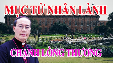 🔴ĐỨC TỔNG GIUSE NGÔ QUANG KIỆT - NGƯỜI MỤC TỬ  CHẠNH LÒNG THƯƠNG, MỤC TỬ NHÂN LÀNH | TV News