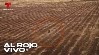 Graban a presunto chupacabras que mata animales en Bolivia