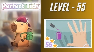 Perfect Tidy Level 55 Solutions