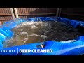 How Hot Tubs Are Professionally Cleaned | Deep Cleaned