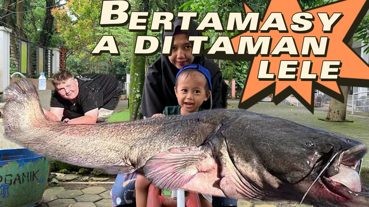 WOW KAGET!!! Melihat Lelenya Besar sekaliii