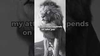 Don’t Confuse my personality with my attitude #motivation #quotes #attractriches