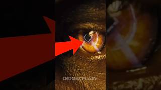 hidden details you missed in Thor? #marvel #indoexplain #shorts