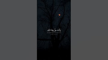 لا أقسم بهذا البلد - سورة البلد - المنشاوي