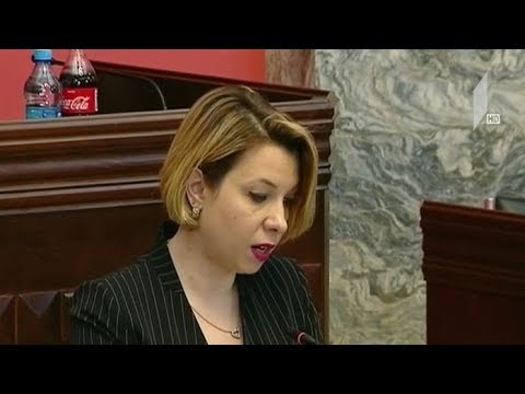 ომბუდსმენი დეპუტატებს 2018 წლის ანგარიშს აცნობს