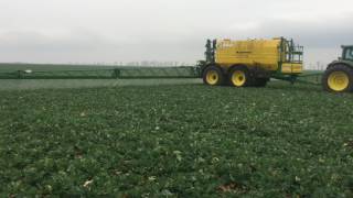 JD Agro Cocora - Spraying rapeseed 2017