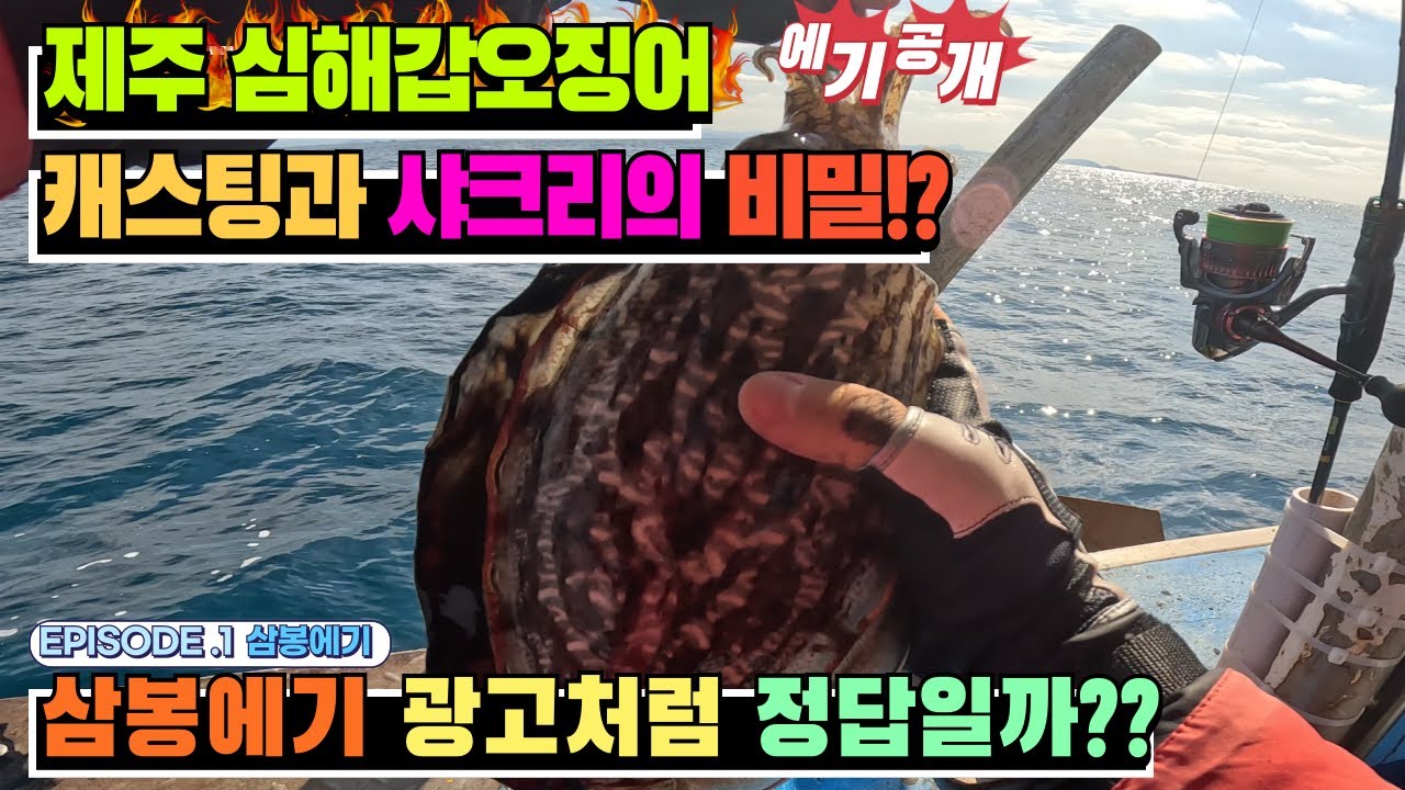[4K] 제주 심해갑오징어 삼봉에기 과연 정답일까??샤크리와 캐스팅의 모든것