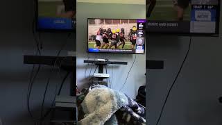 8/13/25 Mid Michigan Now sports 