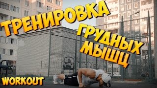 Тренировка грудных мышц Тренировка грудных мышц
