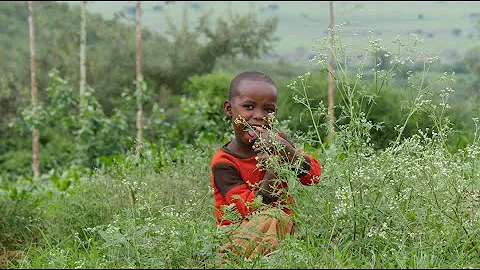 Tribute to Tanzania  Scenes of Maasai & Hadzabe tr...