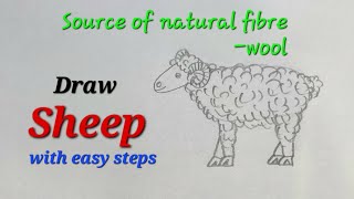 Sheep drawing easy for kids, how to draw sheep, draw source of natural fibre for science,draw sheep