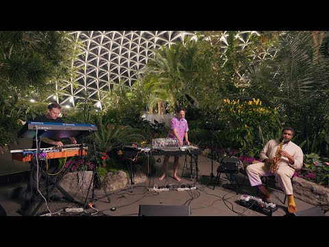 Modern Biology - Photosynthesis LIVE at the Bloedel Conservatory