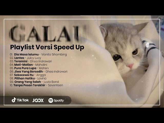 Playlist Lagu Galau Speed Up & Reverb Viral Tiktok class=