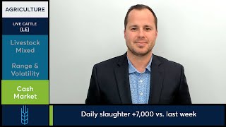 Live Cattle futures trade mixed as volatility subsides. 3/24/26