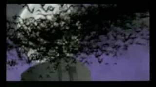 Toonami Batman Beyond first promo