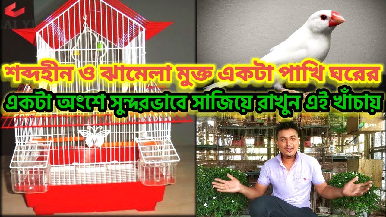শব্দহীন ও ঝামেলা মুক্ত ১টা পাখি সুন্দরভাবে সাজিয়ে রাখুন ঘর | java bird ...