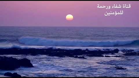 القارئ سليم اللامي