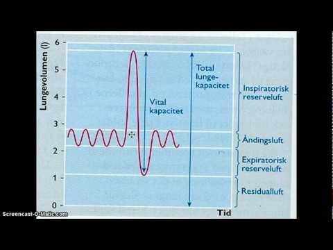 Video: Forskellen Mellem Lungevolumen Og Lungekapacitet