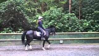 FlatWork Raws - Sophie + Caprice and Rebecca + Freddie