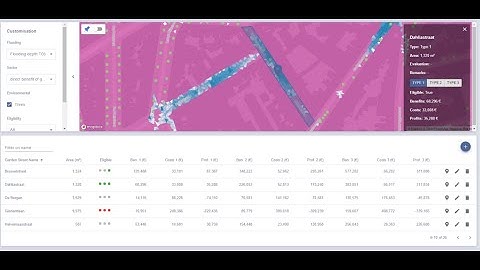 City of Antwerp: Data-driven decision making for the design and assessment of garden streets