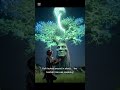 The Talking Baobab Tree #africa #africa #mystery #mystery #history #ancienthistory