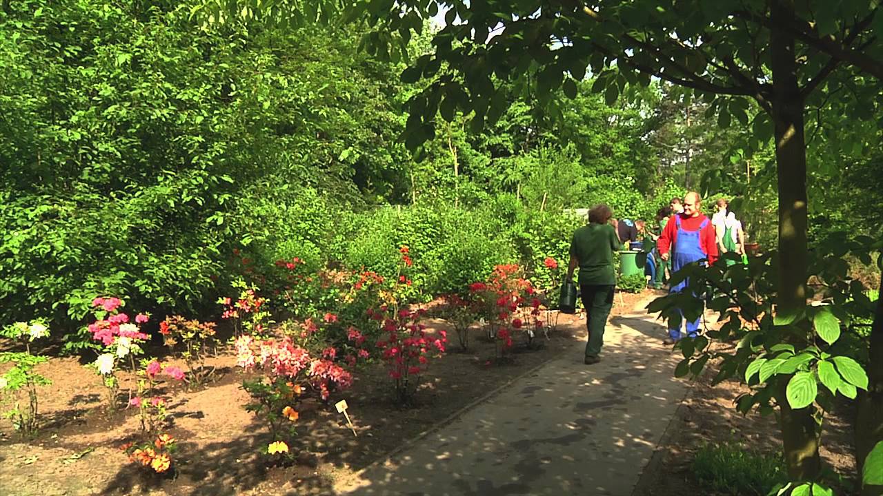 alstergärtner YouTube