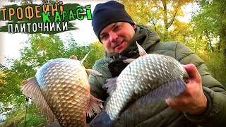картинка: Вони вже Тут !!! Дніпрові карасі Плиточник зайшли на Зимовку !!!