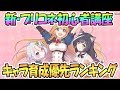 【プリコネR】キャラ育成優先度ランキング！新・初心者向け講座【プリンセスコネクト！Re:Dive / Princess Connect / 実況】