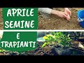 ORTO di APRILE: cosa piantare adesso