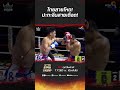   ch8kingoffightingsports 8 muaych8