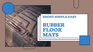 A Guide to Cleaning Rubber Floor Mats in Your Car screenshot 4