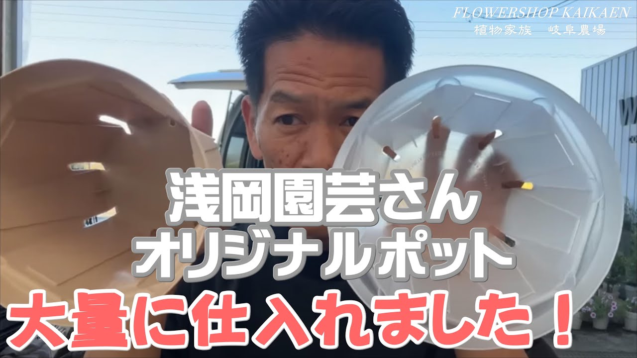 ポトス革命 浅岡園芸さんオリジナルポット ガッツリ仕入れました 半