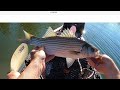 Comparing 18.5 inch hybrids from different lakes - surprising differences #kayakfishing #kayaking