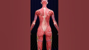 Strength Behind the Scenes 🌟💪