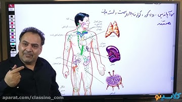 lessons on algorithms and quantum physics history of physical education