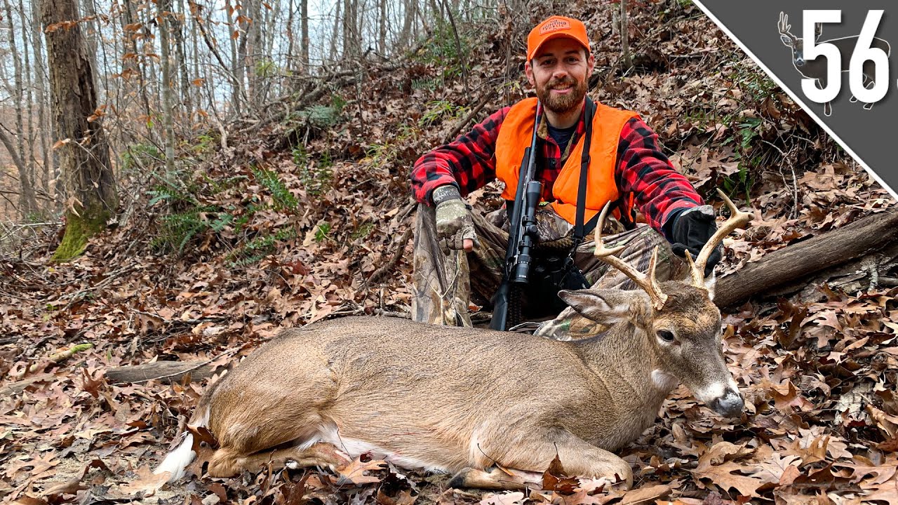 BUCK DOWN IN Gun Hunting Public Land YouTube