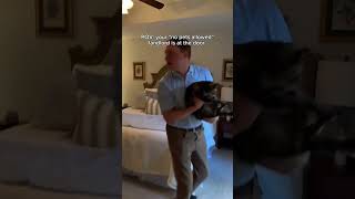 what would you do?     #catowners #catlife #funny #short #trending