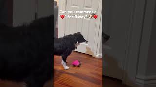 Can You Comment A For Davey?