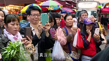 《阿媽教落食平D》呃Like學生餐 有型創新又健康