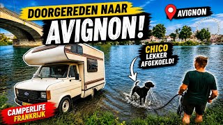 Athlete Statistics On to Avignon - Chico cooling off in the river | France vlog - Camping Du Pont D'Avignon