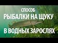 КАК ЛОВИТЬ УСПЕШНО ЩУКУ в ВОДНЫХ ЗАРОСЛЯХ